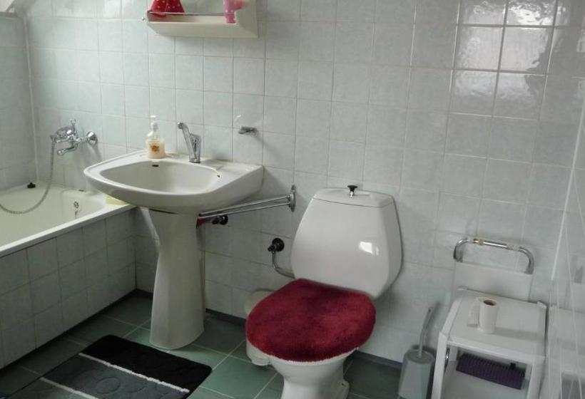 膳宿费 Apartman U Hanicky