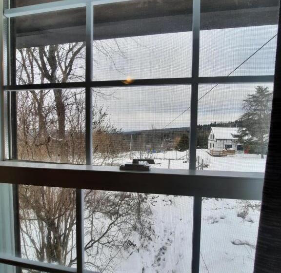 펜션 Auberge Schweizer