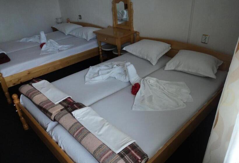 펜션 Guest House Drazhev