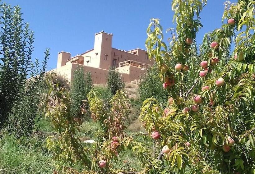 پانسیون Kasbah Izoran