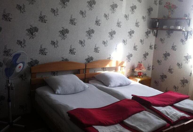 پانسیون Castle