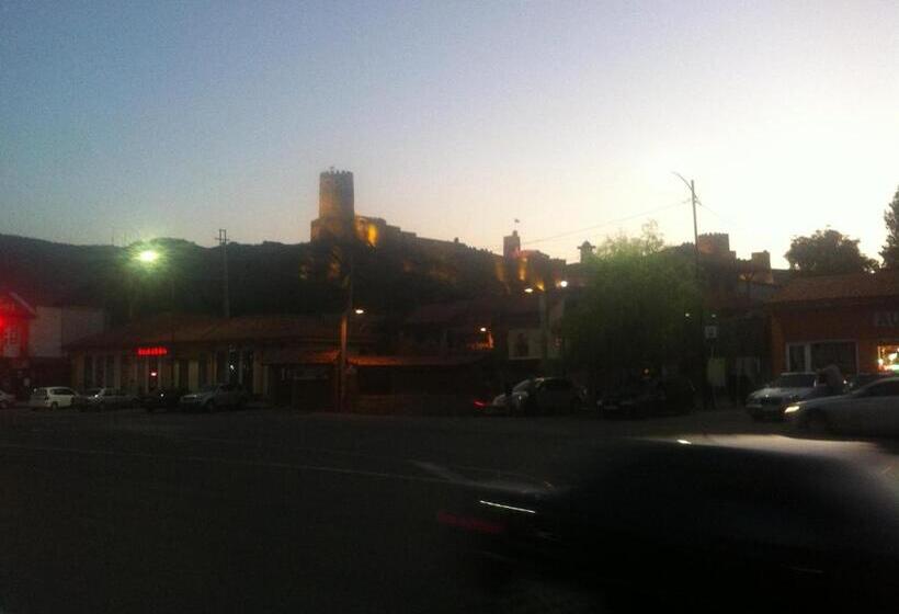 پانسیون Castle