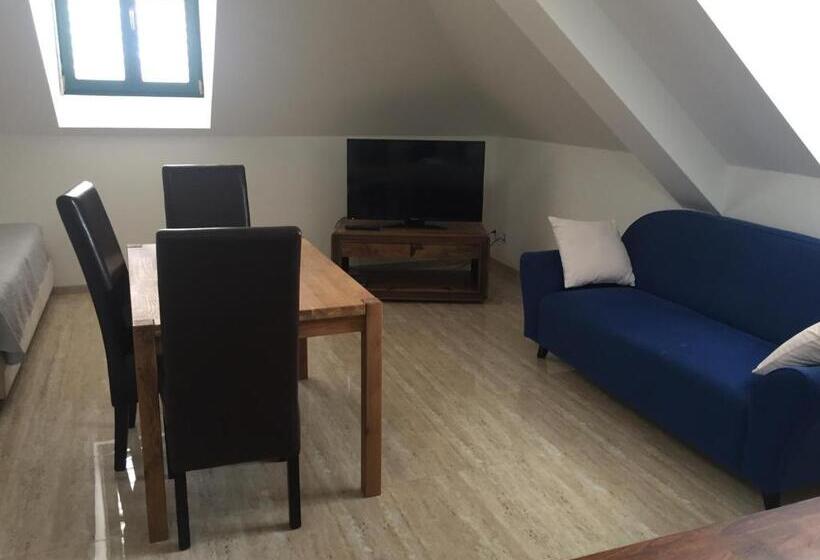 بنسيون Penzion Za Radnicí