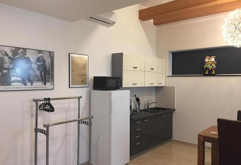 بنسيون Penzion Za Radnicí