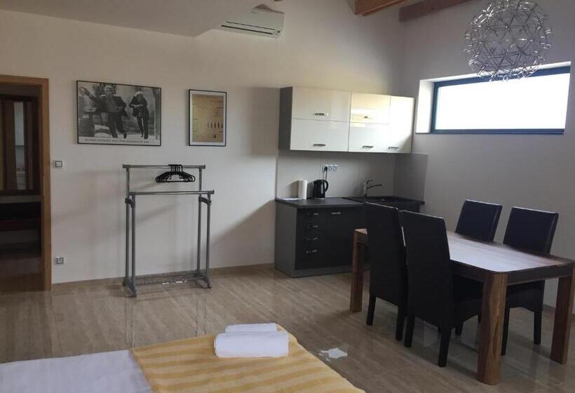 پانسیون Penzion Za Radnicí