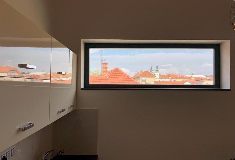 بنسيون Penzion Za Radnicí