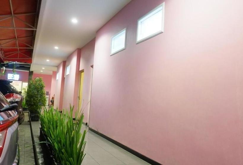 פנסיון Pink House