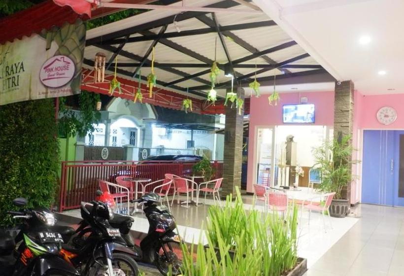 פנסיון Pink House