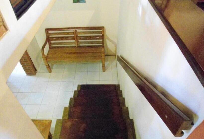 ペンション Pousada Danza   Centro