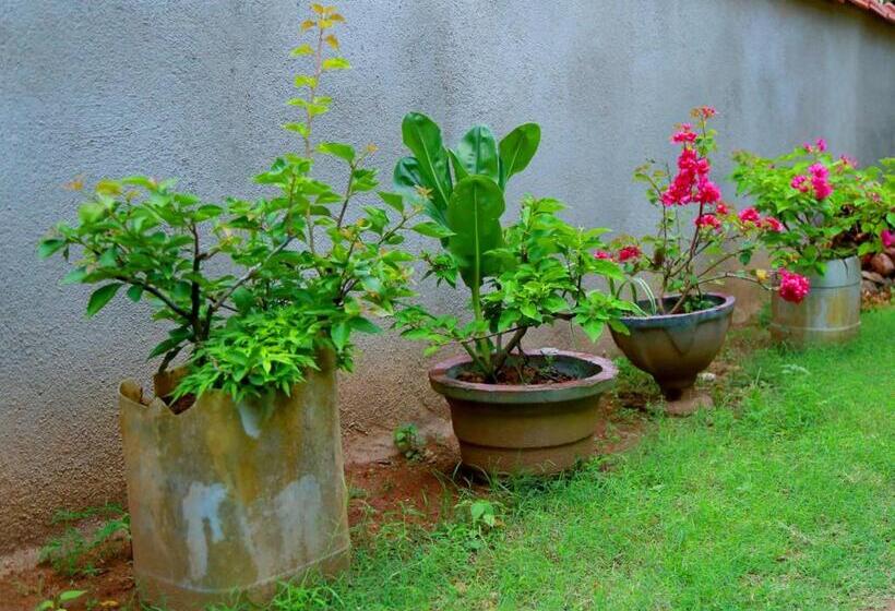 بنسيون Siluni Homes