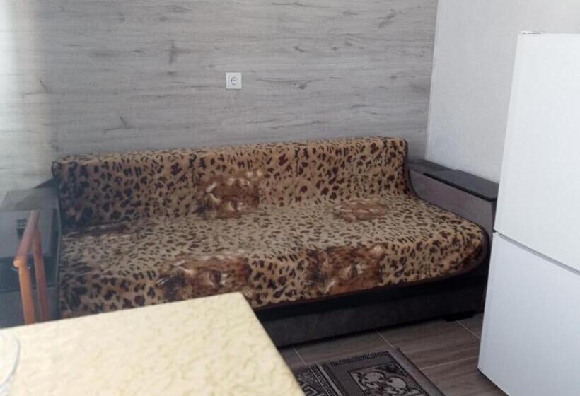 پانسیون Villa L Vovskaia