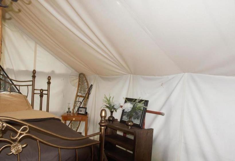 Sven's Basecamp Hostel