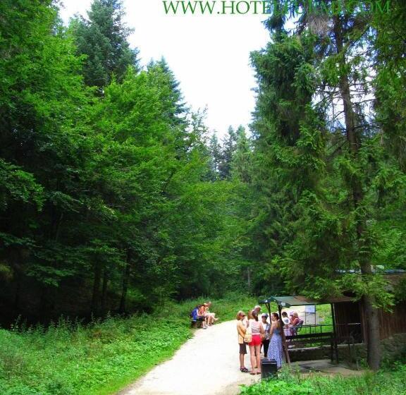 הוסטל Mini Hotel Furmi