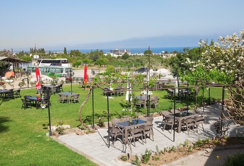 בית מלון כפרי Meryem S