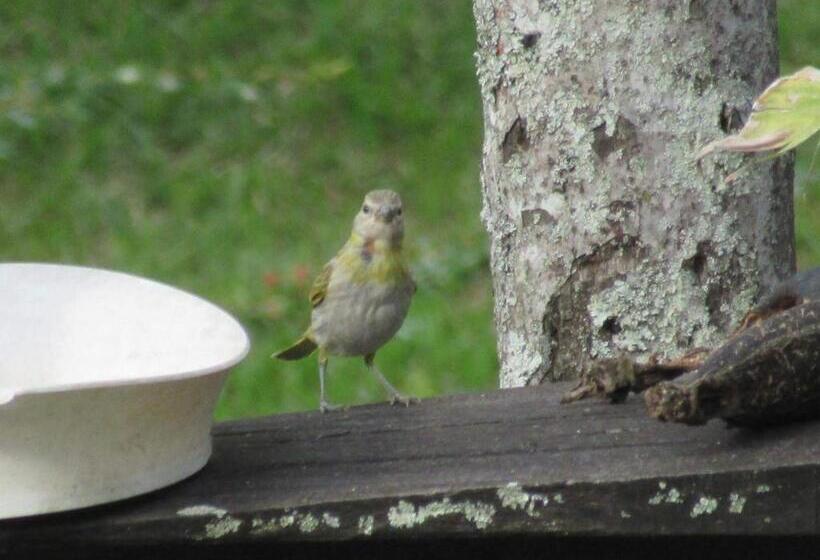 Santamaría Hotel Bed And Breakfast