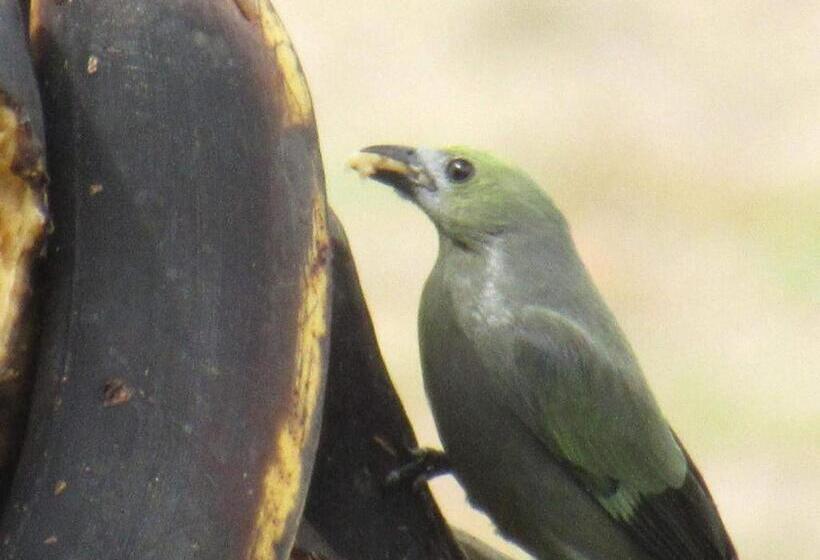 Santamaría Hotel Bed And Breakfast