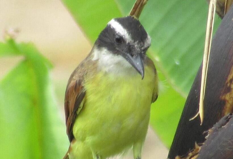 Santamaría Hotel Bed And Breakfast