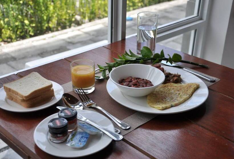 בית מלון כפרי Star Shell