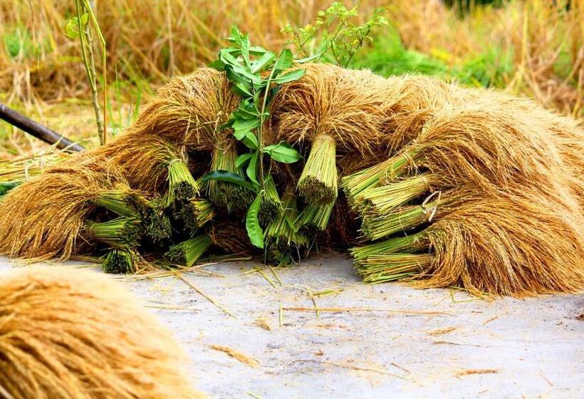 פנסיון Bali Bening