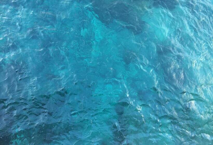 بنسيون Body Balance House