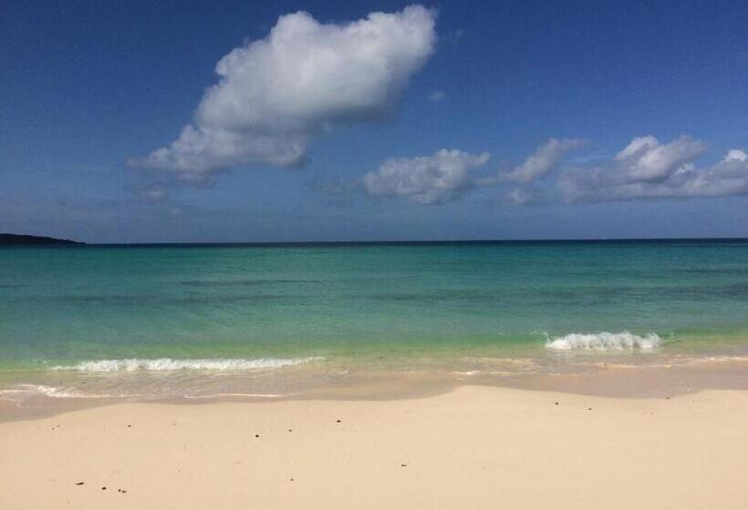 بنسيون Body Balance House