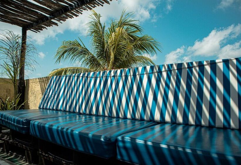 膳宿费 Casa Wayak