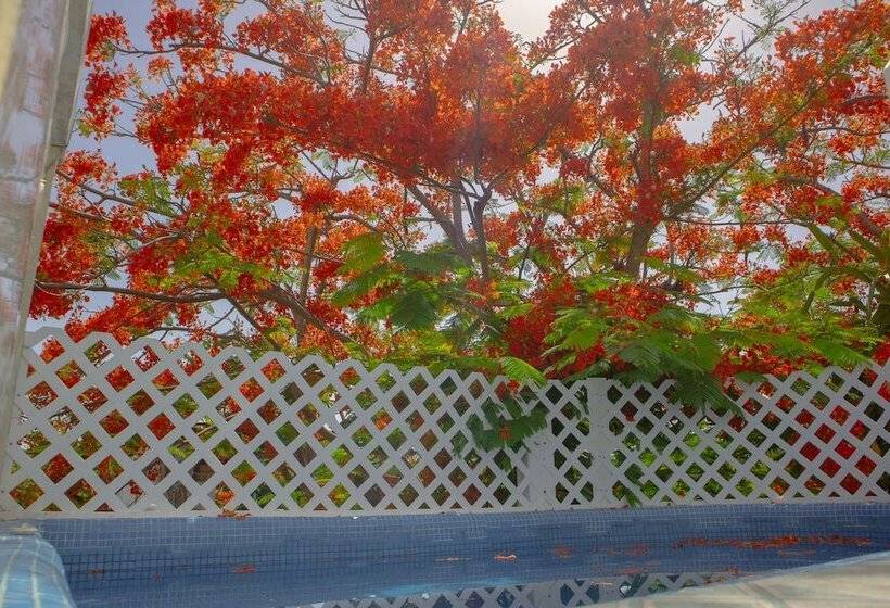 膳宿费 Casa Wayak