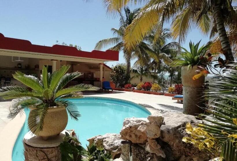 پانسیون Castillito Kin Nah