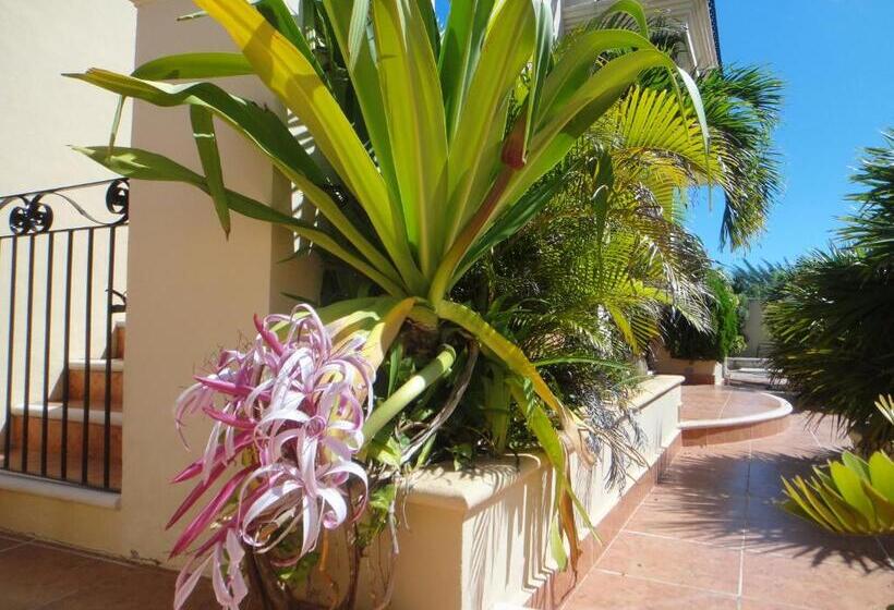 پانسیون Castillito Kin Nah