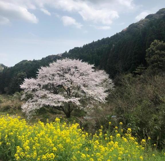 ペンション Guest House Ne Doco