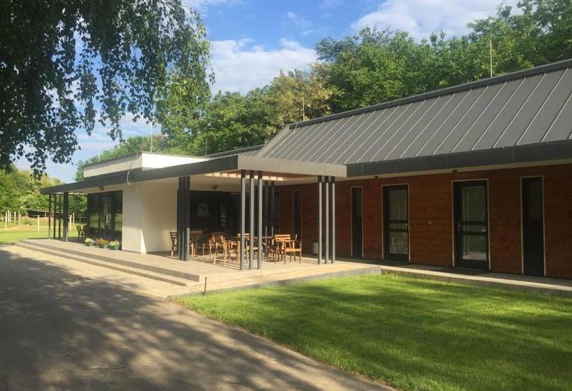 ペンション Mohácsi Wellness Vendégház és Lovasklub