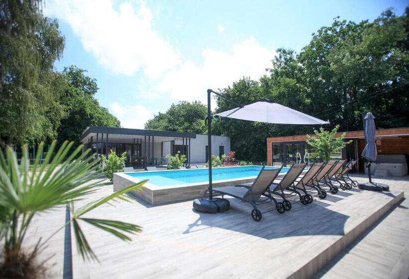膳宿费 Mohácsi Wellness Vendégház és Lovasklub