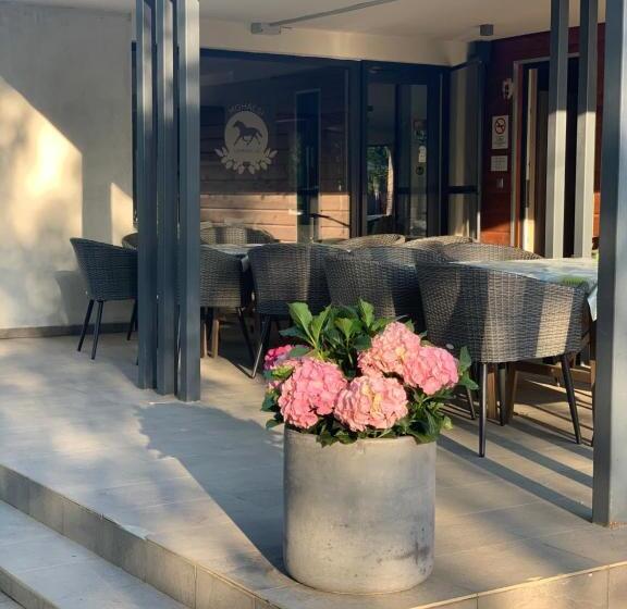 פנסיון Mohácsi Wellness Vendégház és Lovasklub