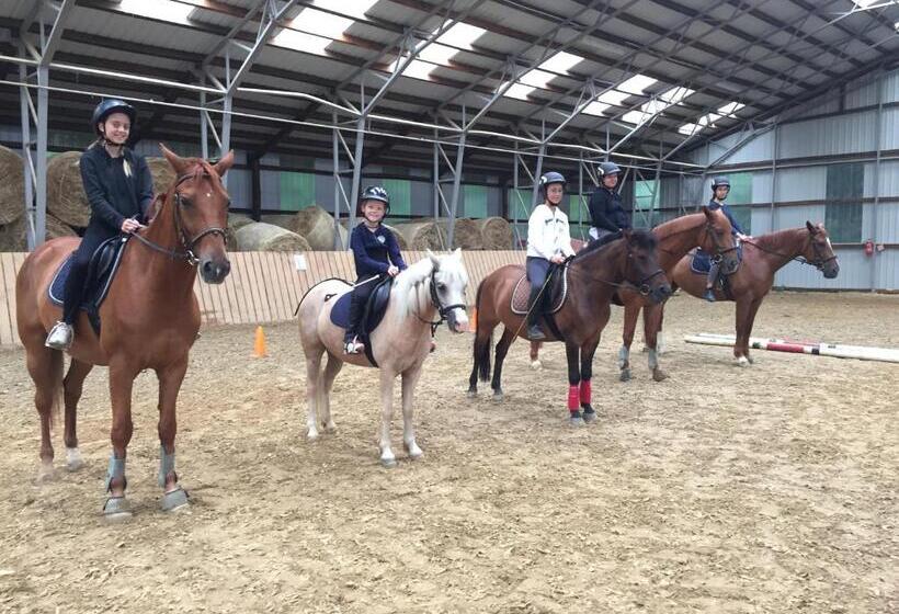 بنسيون Mohácsi Wellness Vendégház és Lovasklub