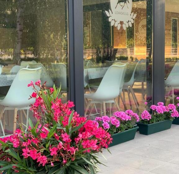 膳宿费 Mohácsi Wellness Vendégház és Lovasklub