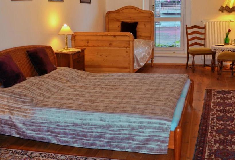 بنسيون Penzion U čermáka