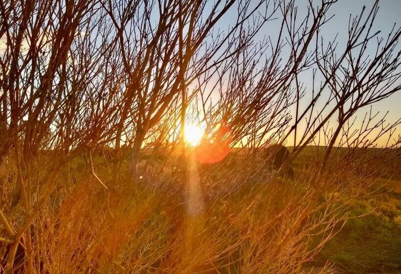 بنسيون Pousada Aguaraguazu