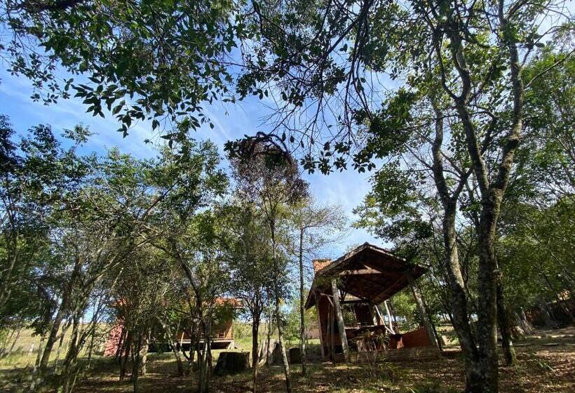 بنسيون Pousada Aguaraguazu