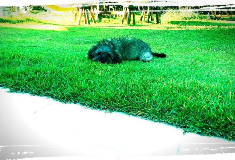 بنسيون Pousada Vila Bella   Praia Do Macapá