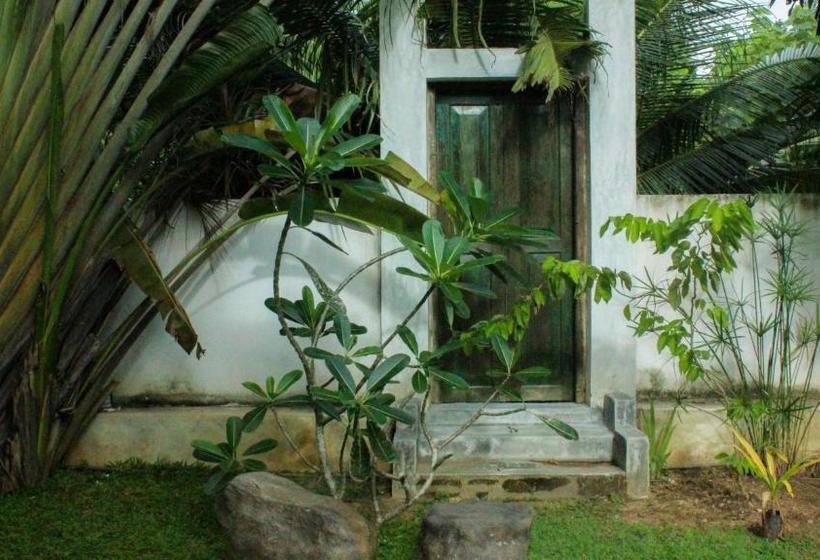 ペンション The Mango Leaf