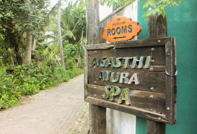 ペンション The Mango Leaf