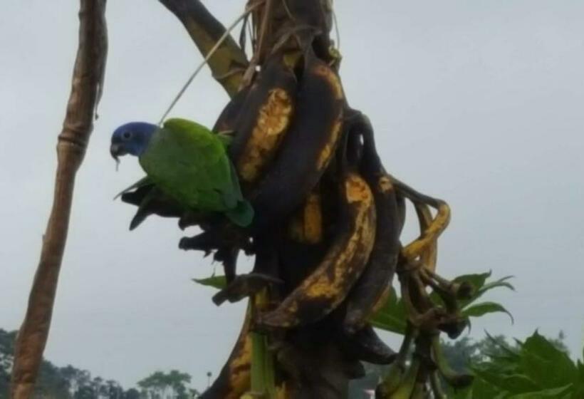 Santamaría Hotel Bed And Breakfast