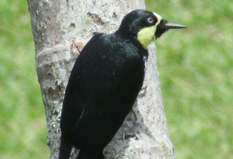 Santamaría Hotel Bed And Breakfast
