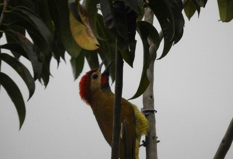 Santamaría Hotel Bed And Breakfast