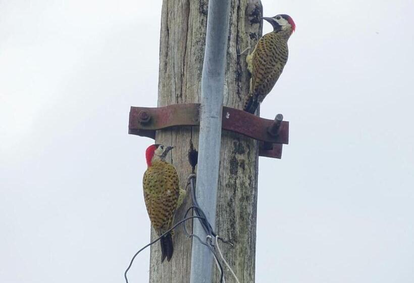 Santamaría Hotel Bed And Breakfast