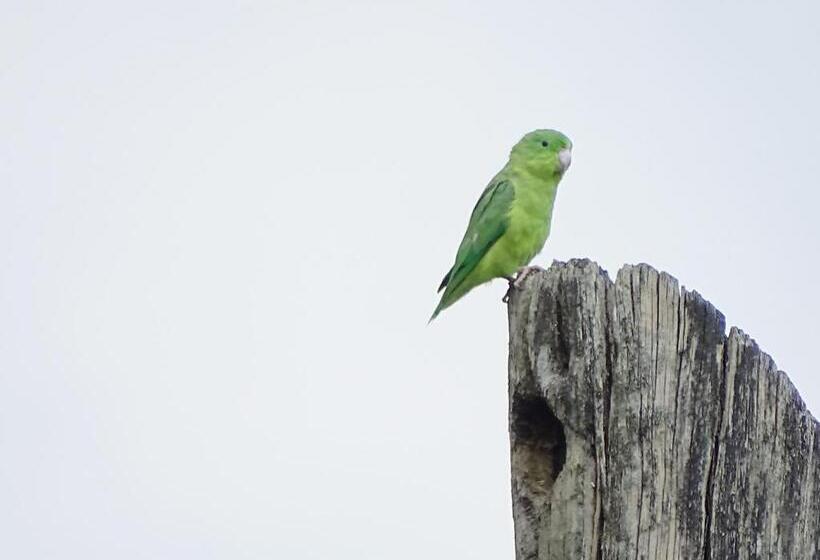 Santamaría Hotel Bed And Breakfast