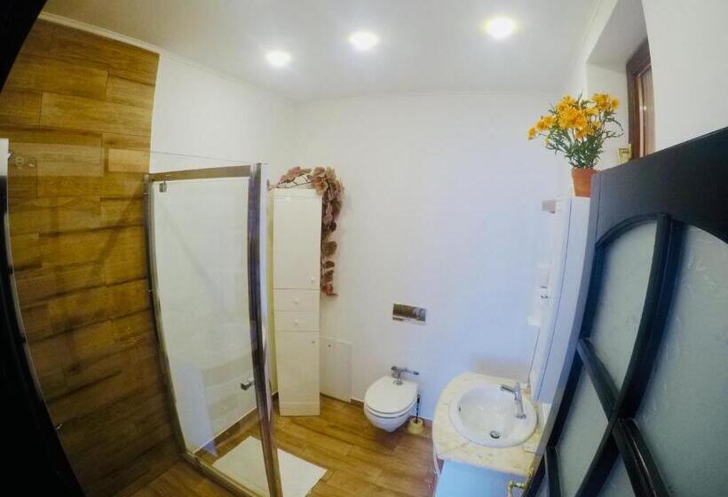 Cristi S Rooms   Pensiune