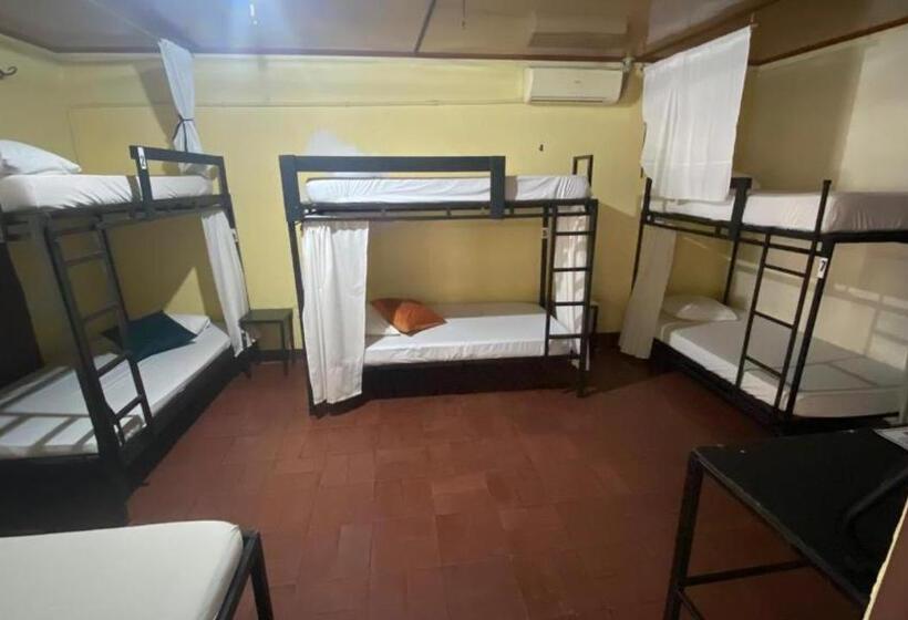Hostel Pura Vida En Liberia