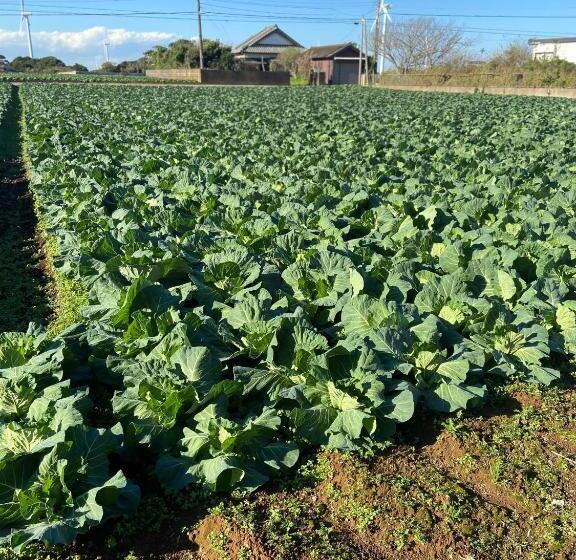 בית מלון כפרי Restay Choshi Aine