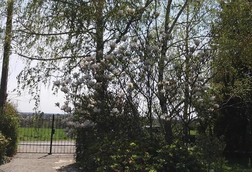 Pensjonat Frutta Villa